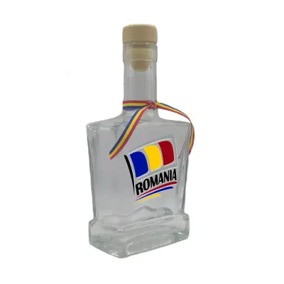 Steag romania, sticla cu mesaj plata, 500 ml, model divgs179 15